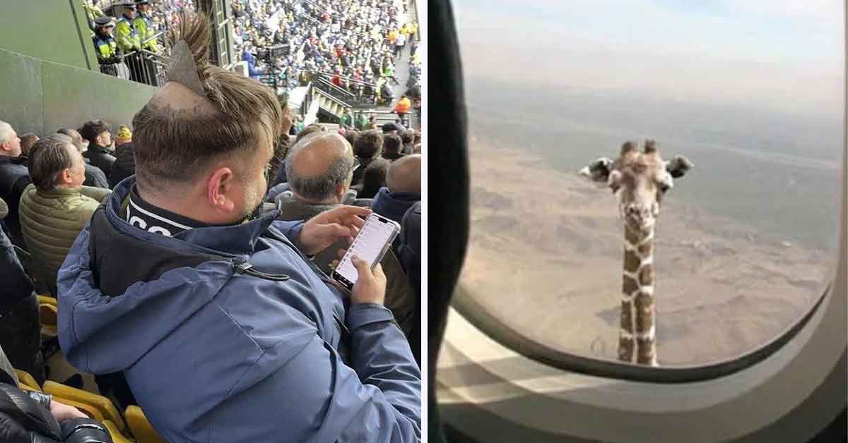 Random Pics - toupe soccer game, giraffe airplane window