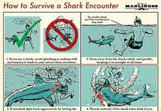 Survival Tips And Tricks - Shark Attack