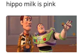 hippo milk is pink