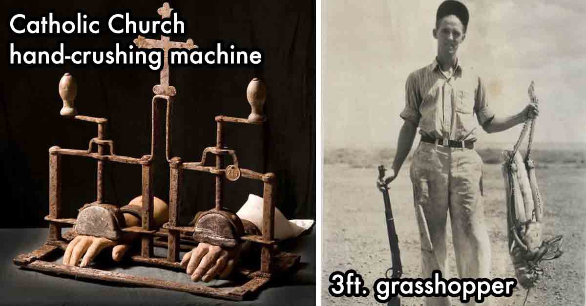 catholic church hand-crushing machine and 3ft grasshopper