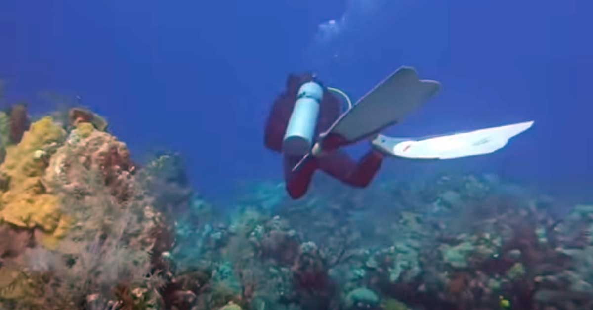 a scuba diver in the ocean