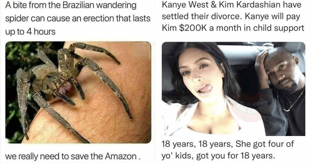 a bite from the Brazilian wandering spider can cause erections that last up to four hours