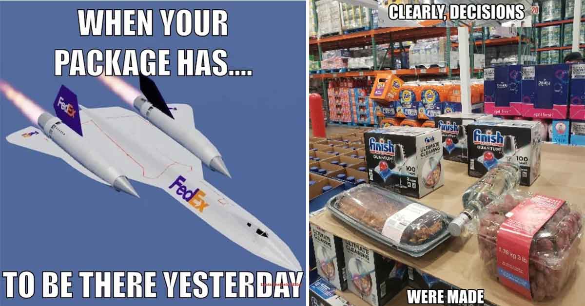 Funny Pics And Memes - package blackbird, fun combo