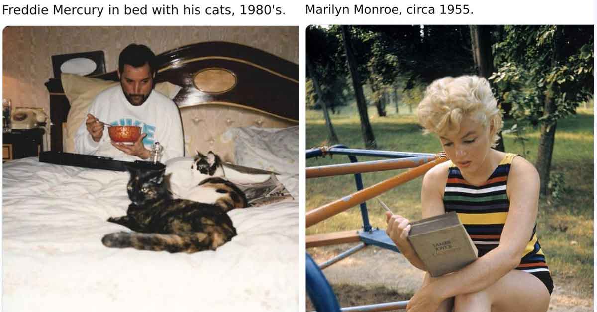 Historical pictures - freddie mercury, marilyn monroe