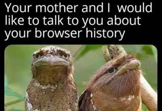 <p>A batch of funny and relatable memes and pics that were right on point.&nbsp;</p>