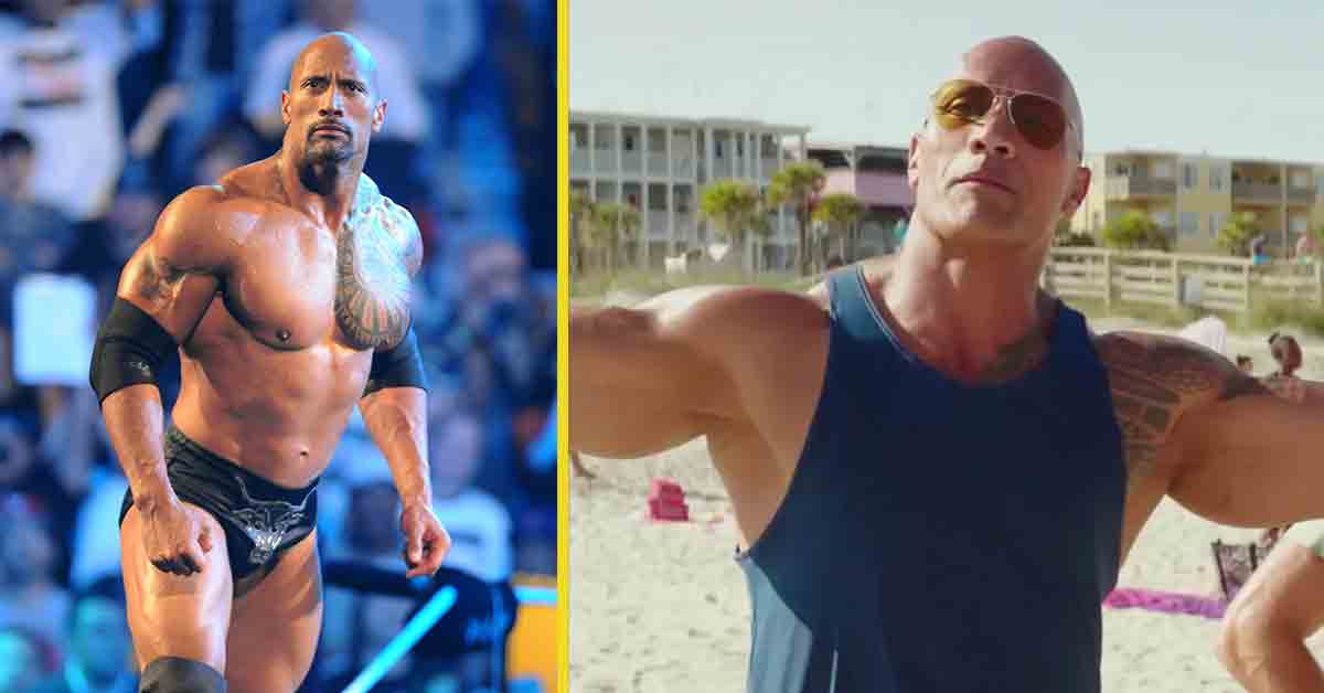 the rock wwe and baywatch