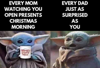 Christmas is either a magical time or a special hell for parents.  Sometimes it is a mixture of both as anyone with kids can attest to. So forget about the hustle and bustle that is coming up, forget about cleaning the house, cooking food, last minute shopping, and enjoy some memes that may ring too true.