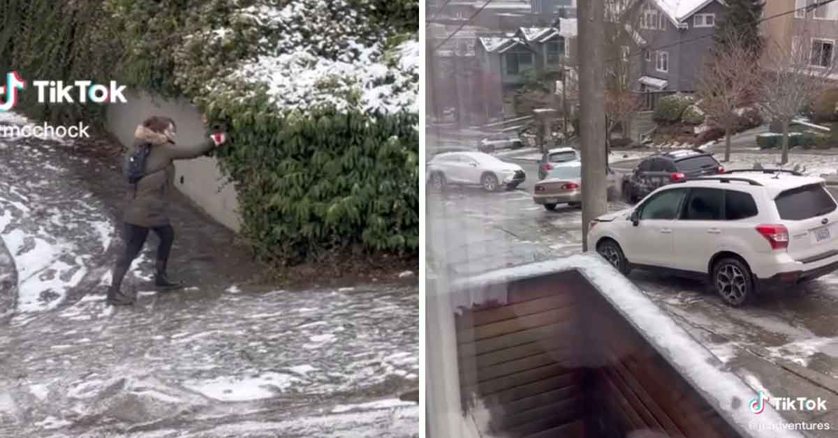 fails and falls from the great Seattle ice freeze