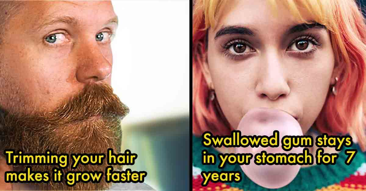 hair and gum facts that aren't true