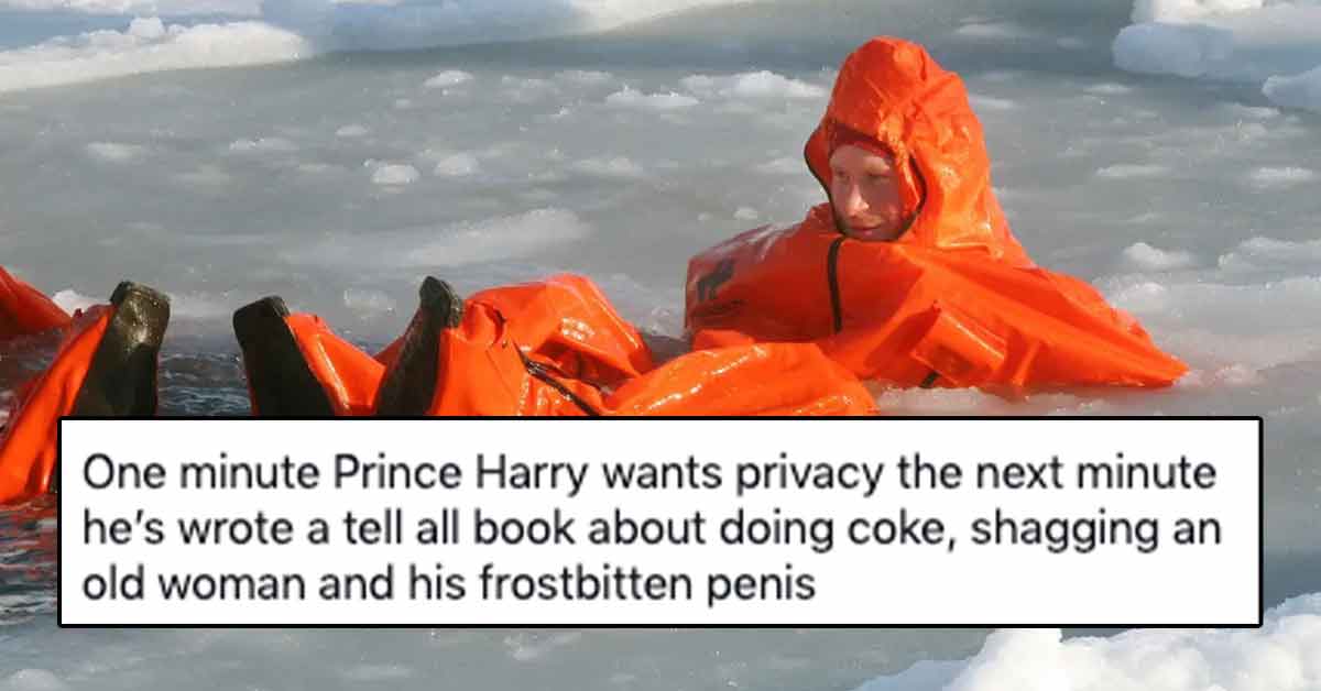 prince harry north pole