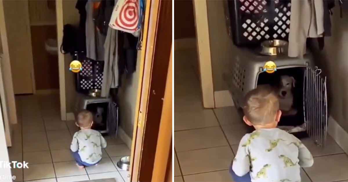 kid tells dog to never poop in his bed again