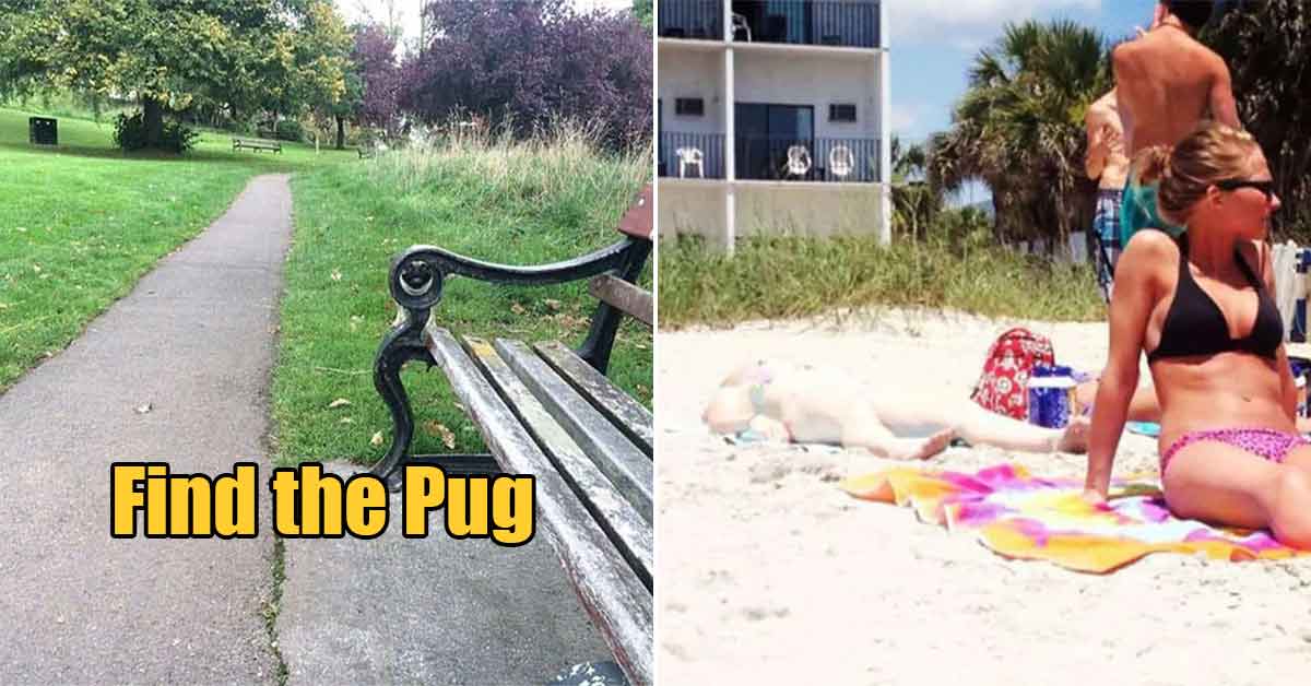 pale woman laying on the beach -  can you find the pug