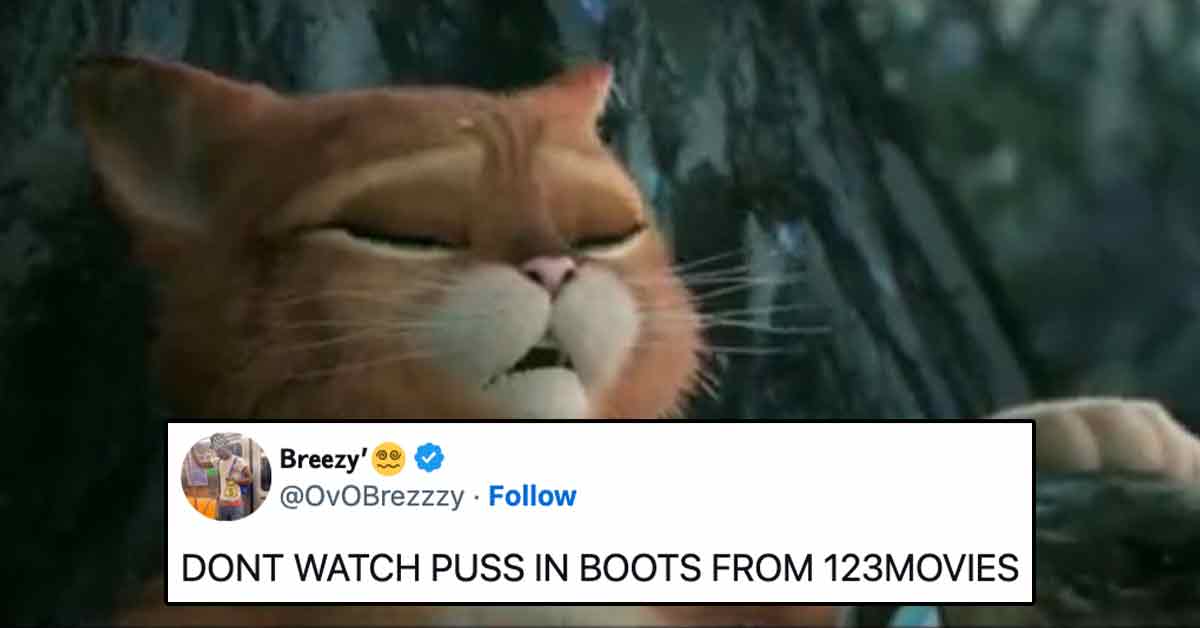 People Streaming 'Puss in Boots' on 123Movies Have Noticed a Very NSFW  Moment - Funny Article