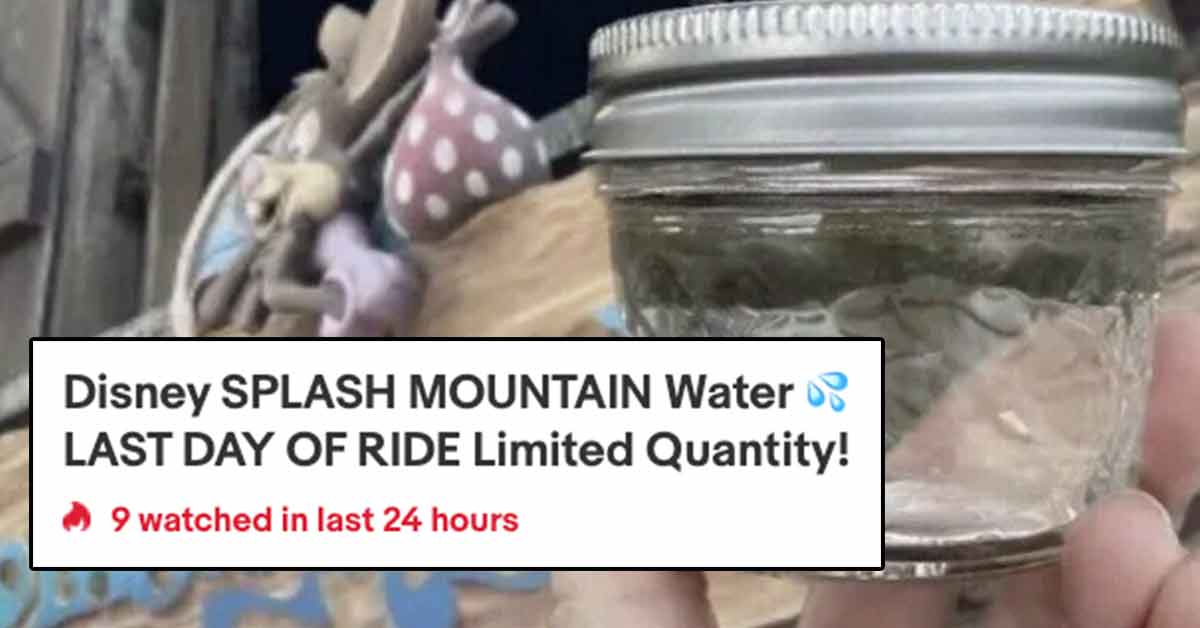 people are selling splash mountain water on eBay