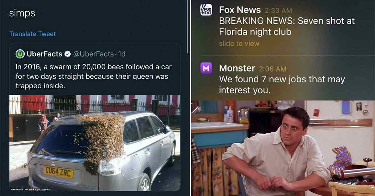 savage posts - breaking news -  seven shot at florida night club-  7 new job openings that may interest you -  bee simps