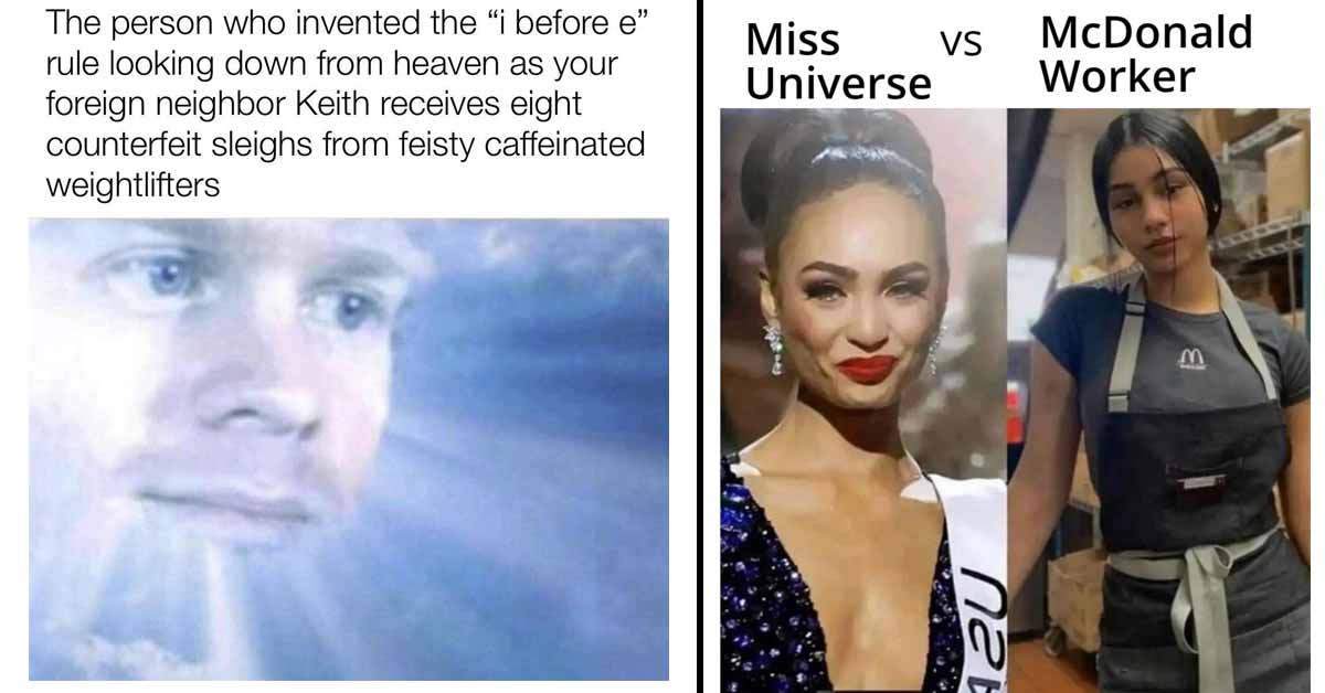 Drop Everything and Check out These 35 Funny Memes Fresh From the Factory