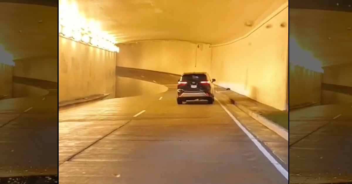 Terribly Designed Tunnel Ends Up Being Just the Most Stoned Dude Ever