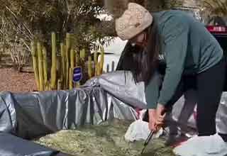 couple turn their entire truck bed into a bowl of instant ramen