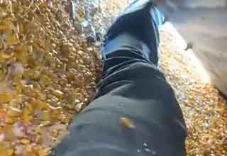 dude films himself after falling into a corn silo