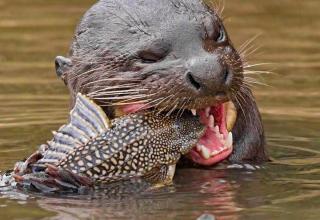 25 Common Things that Are More Dangerous Than They Seem - Creepy