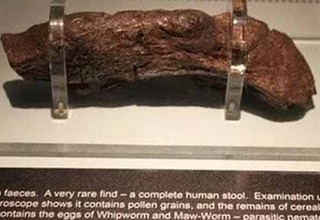 Some Poor Viking Dropped this Massive Deuce Over 1,000 Years Ago