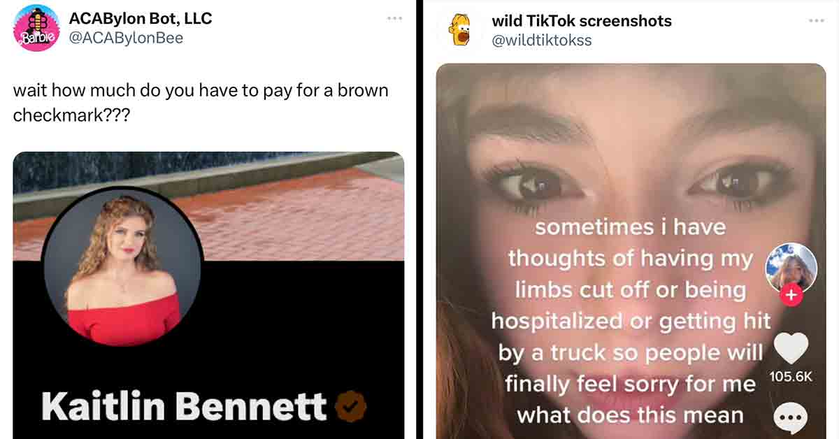 kaitlin bennett tweet and tiktok