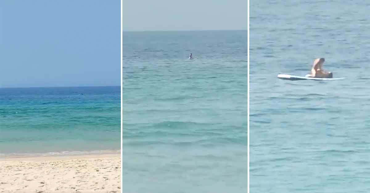 couple filmed having sex on a paddle board