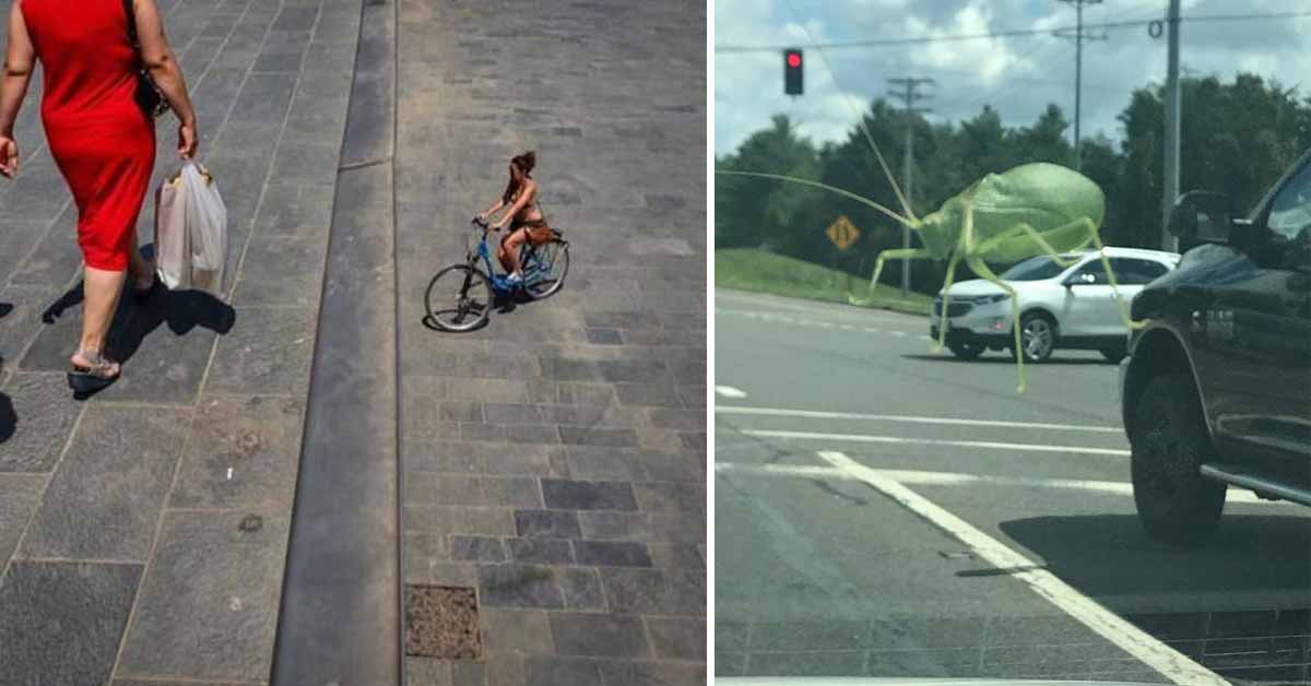 28 Photos That Are Different When You Look at Them a Second Time