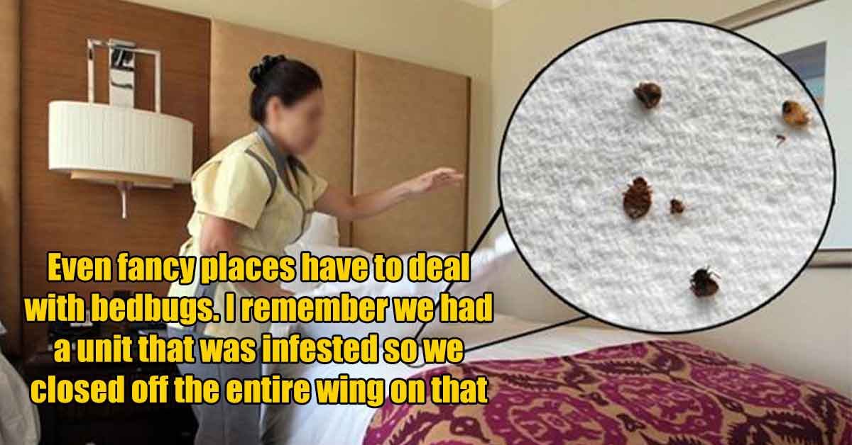 hotel employees dish their dirty resort secrets