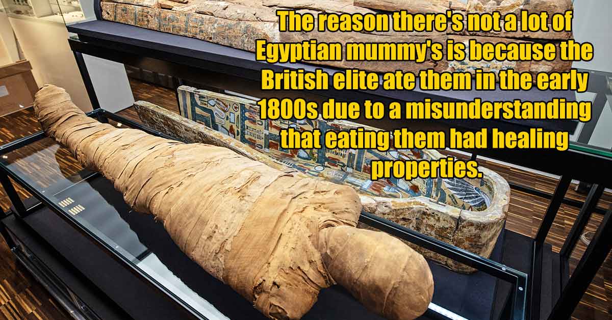 20 Hard To Believe Facts That Sounds Fake But Aren’t - Wtf Gallery ...