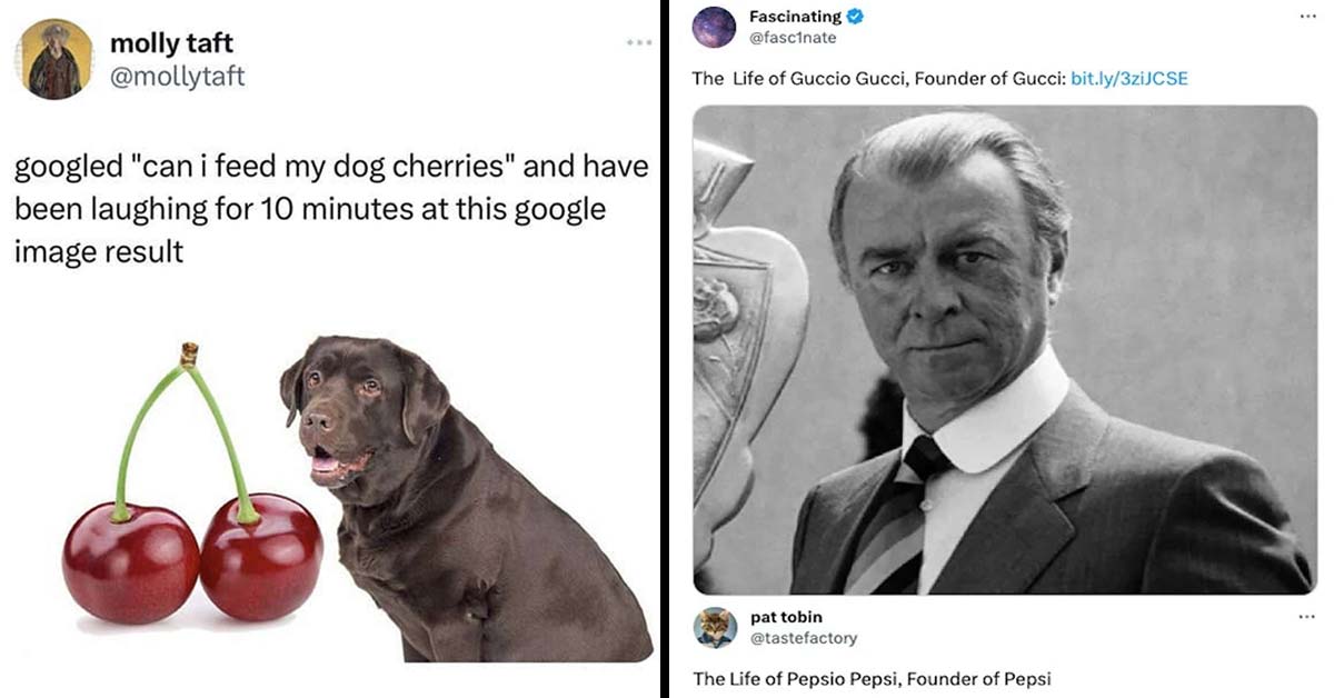 35 Funny Memes and Tweets From Twitter This Week