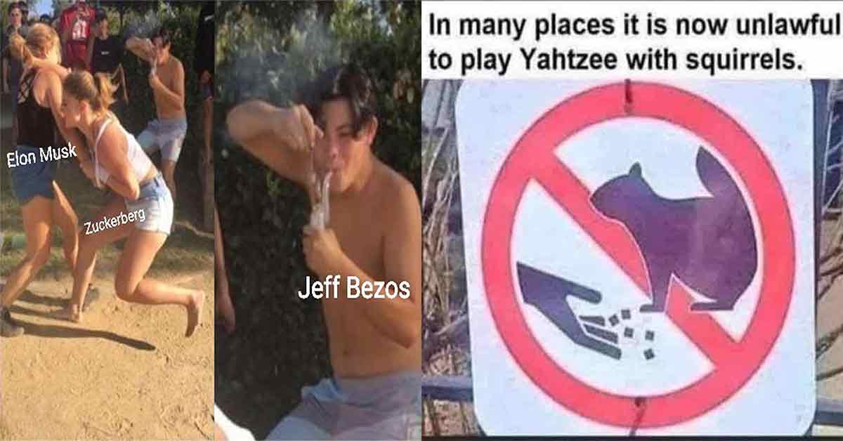 elon muck and mark zuckerberg fighting -  jeff bexos smoking a pipe -  don't play Yatzhee with squirrels