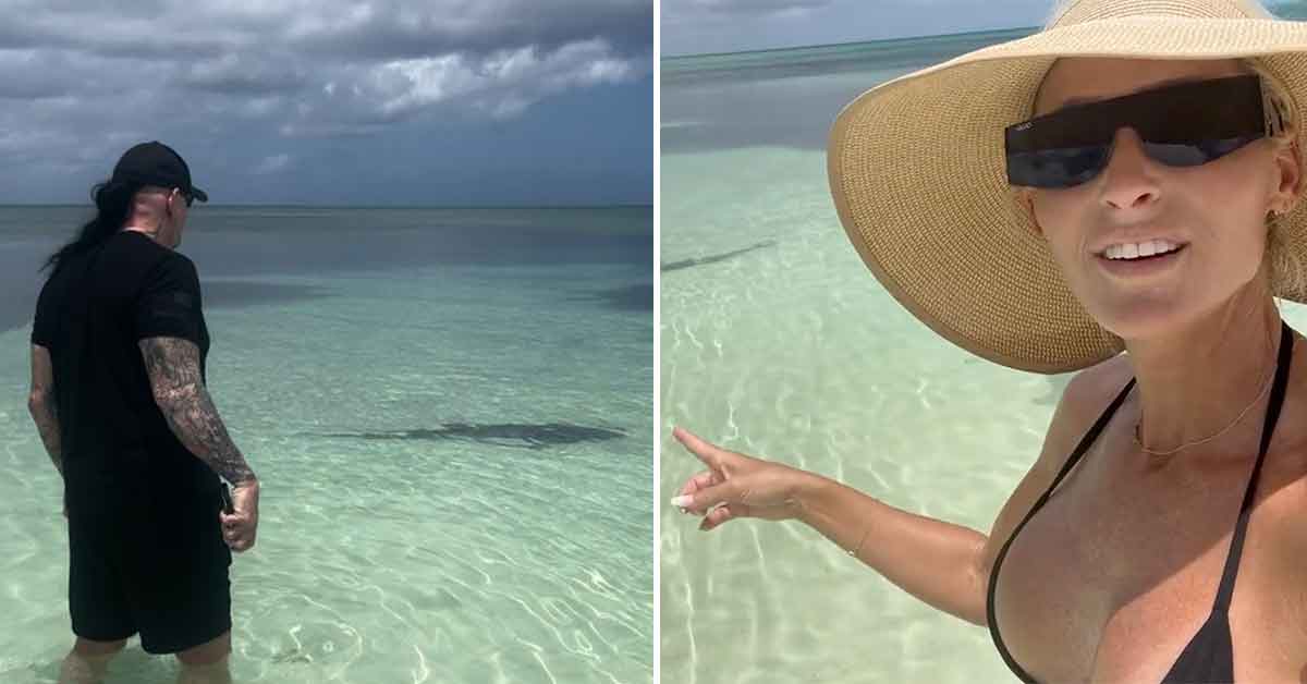 The Undertaker Stares Down Shark On Vacation