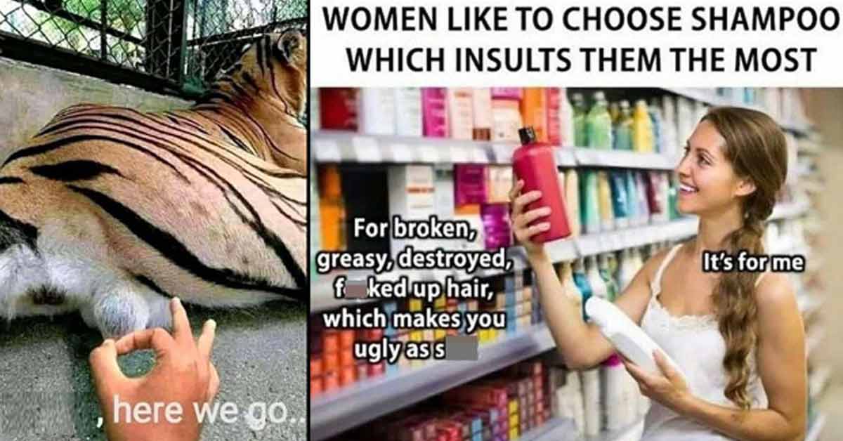 flicking a tiger's balls - 2021 here we go - women like to choose shampoo which insults them the most - for broken greasy destroyed fucked up hair which make you ugly as shit it's for me