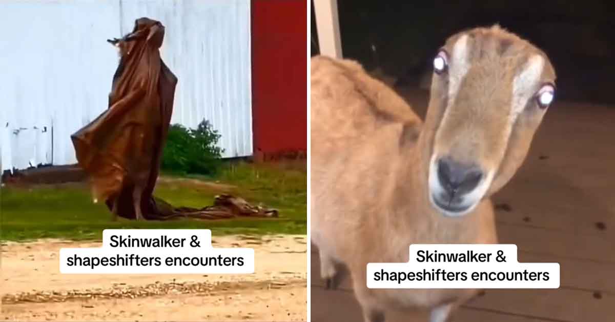 A Compilations of Skinwalkers and Shape Shifters Allegedly Caught on Camera