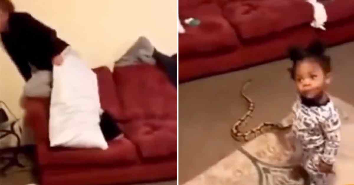 Mom Freaks Out After Daughter Introduces Her To Her New Python Pal