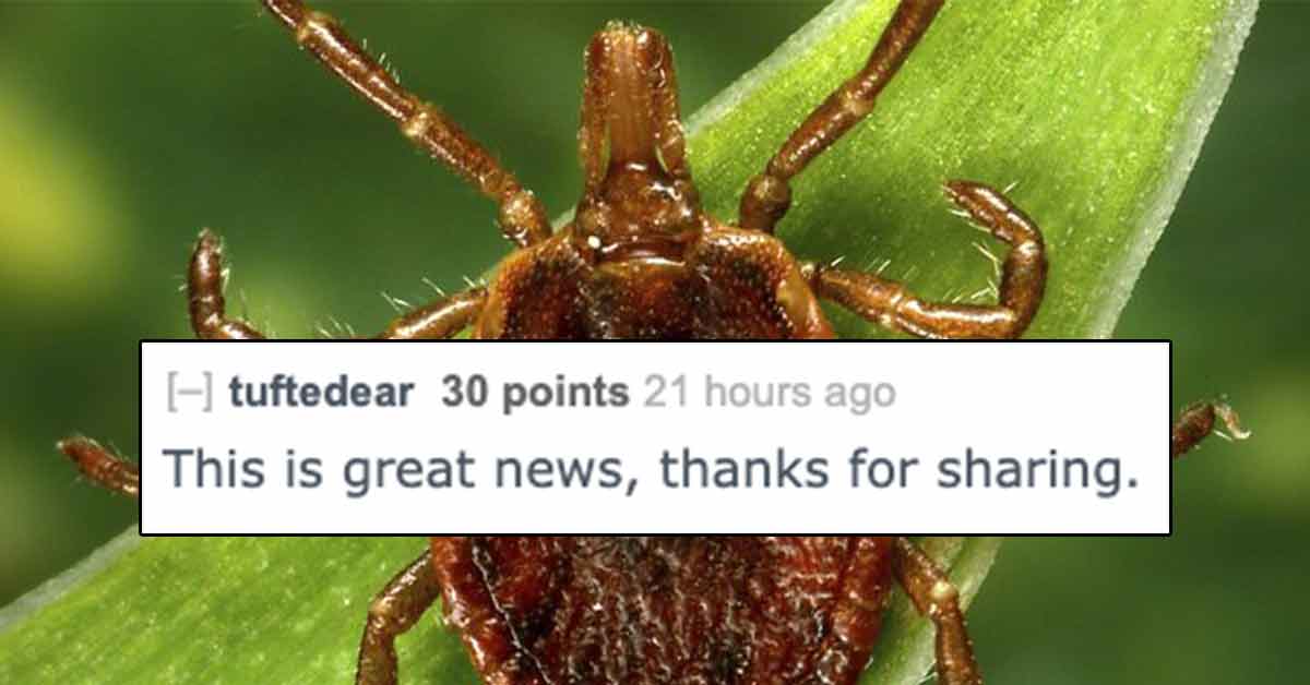 Vegans Are Celebrating the Rise of A New Tick-Borne Meat Allergy