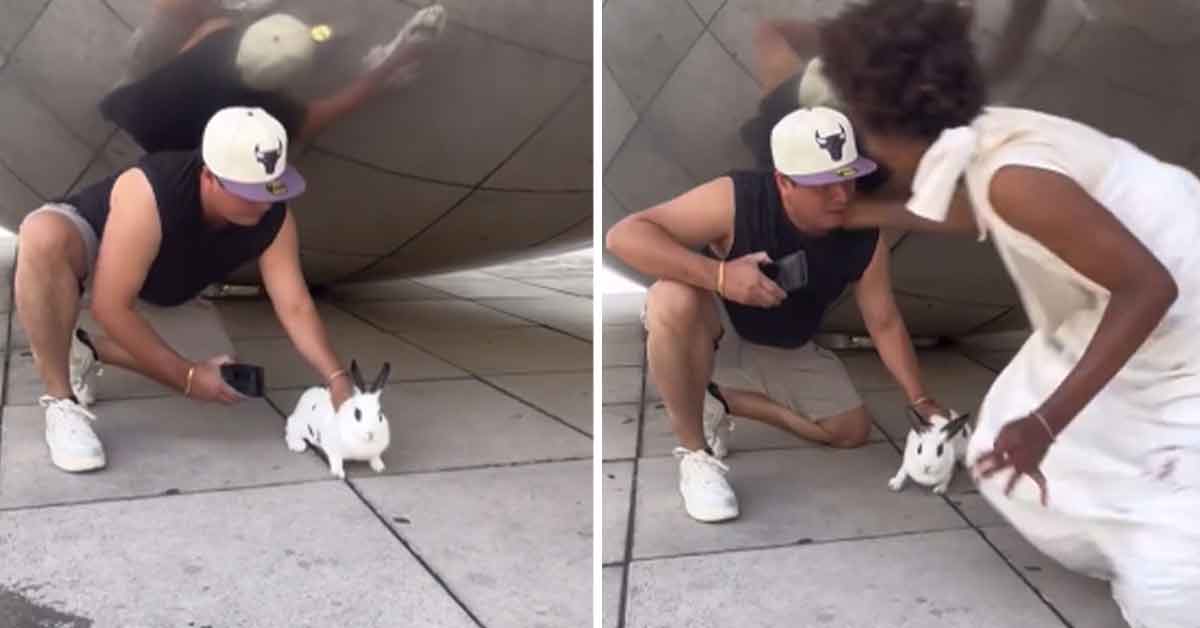 Woman Slaps Man for Taking a Photo with His Rabbit at the Bean