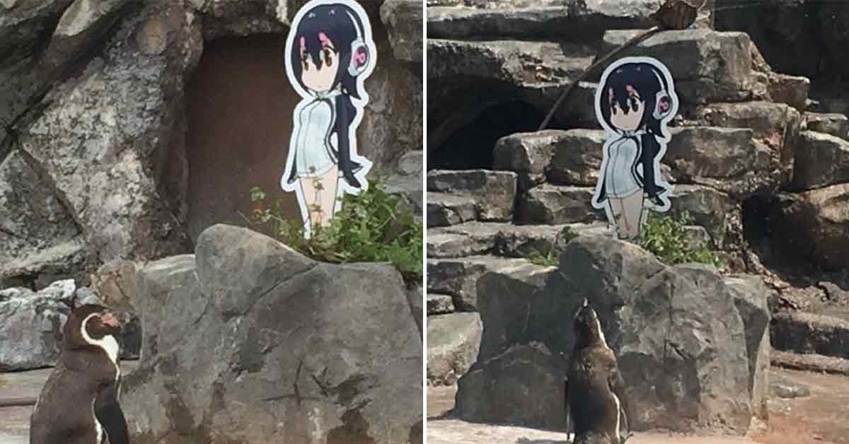 The Legend of the Depressed Penguin Who Fell In Love with a Cardboard Anime Cutout