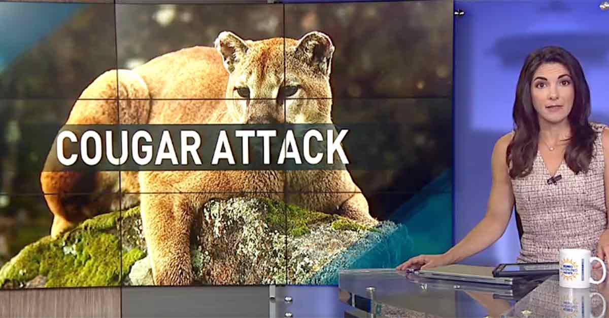 8-Year-Old Survives Cougar Attack After Big Cat Changes Its Mind