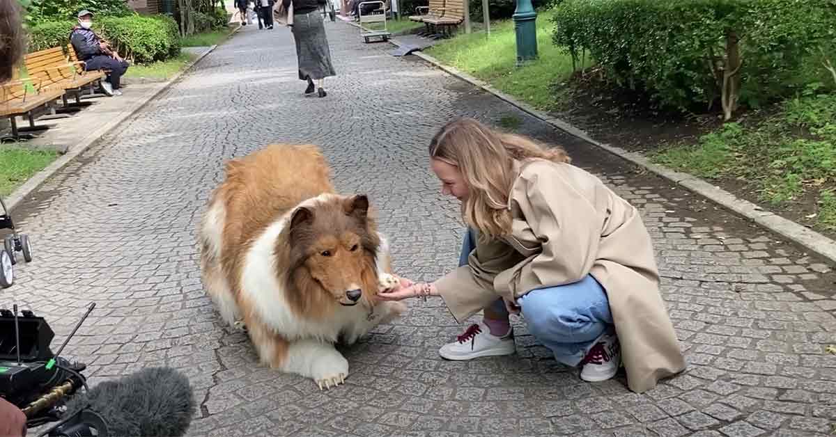 Japanese YouTuber Who Spent $14,000 on Hyper-Realistic Border Collie Costume Steps Out For the First Time