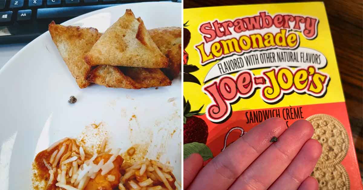 Bugs And Rocks: All The Gross Items Trader Joe’s Shoppers Have Discovered In Their Food