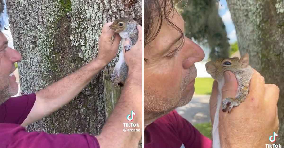 Guy Forcefully Kisses a Squirrel to Advertise His Teeth-Whitening Products