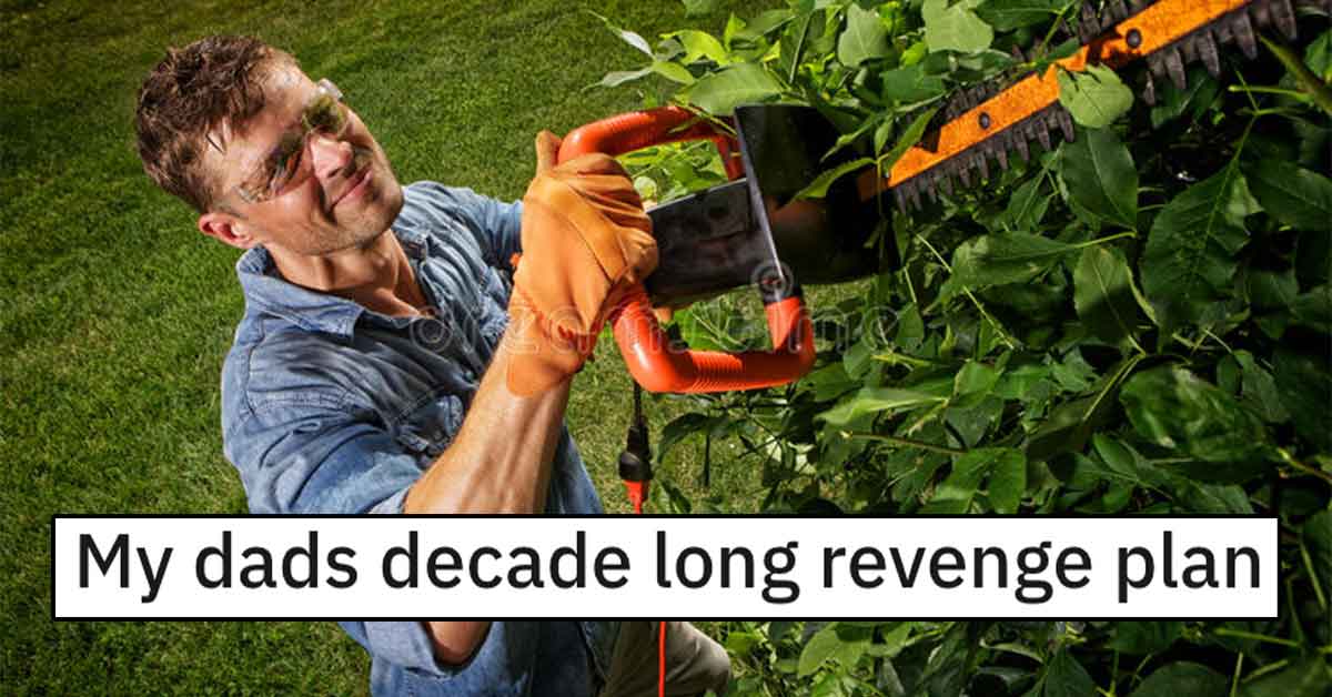 Determined Dad Plants Trees to Get Back at His Neighbor after They Snub His Building Permit