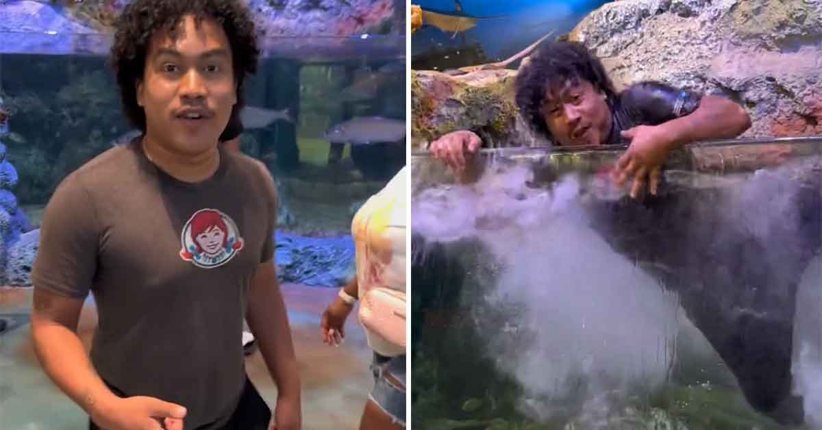 Dude Gets Arrested after Taking a Swim in an Aquarium Fish Tank