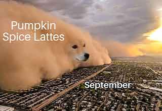 <p>Summer is winding down, the kids are back in school, the presidential election is in full swing, and the autumn vibes are starting to grab the girlies by the Han Solo boots.&nbsp;</p><p><br></p><p>In the coming weeks, the empty cups of Pumpkin Spice Lattes with fill trash cans across the country and trips to apple orchards and pumpkin patches will fill out our fall calanders.&nbsp;</p><p><br></p><p>And for those of us holding onto summer, we have another few weeks before the doom and gloom of winter begins to set in. But don't think about any of that now, because it's only Tuesday, and we're just trying to get through the week.&nbsp;</p>