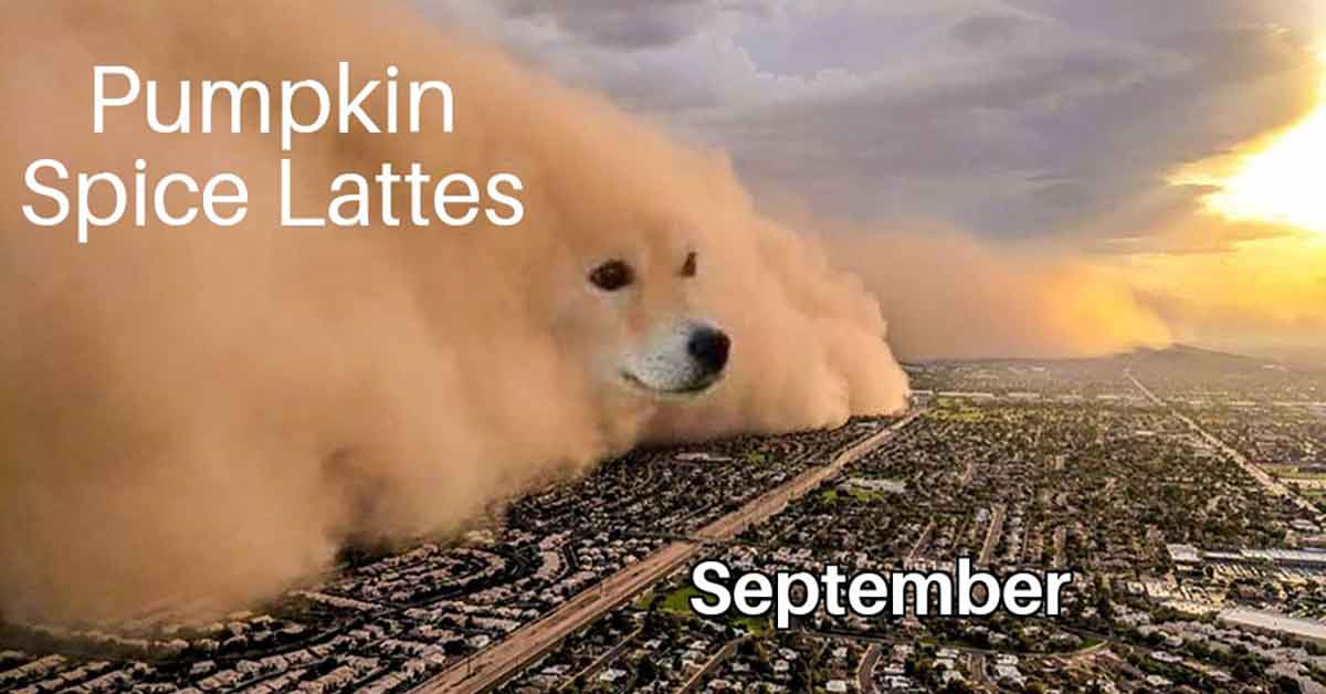 pumpkin spice latted -  september -  doge dust storm