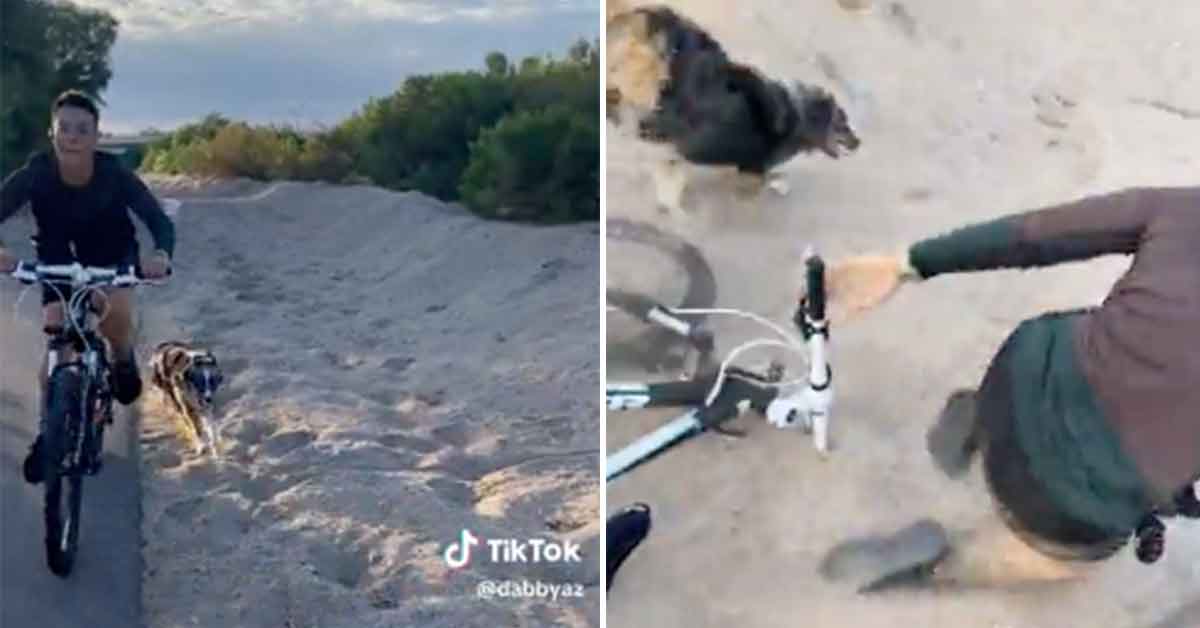 Angry Karen Refuses To Move For Cyclist and Runs Them Off the Road