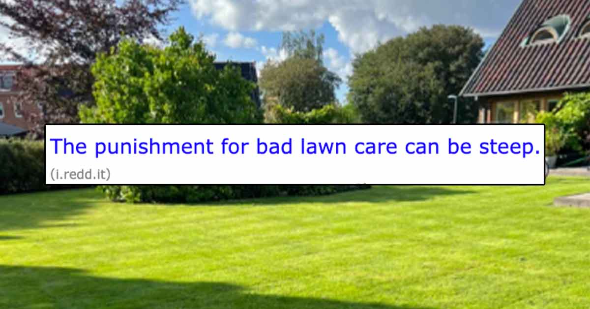 Lawn Care Enthusiasts Have Lots of Feelings About Russian Official Killed In Drone Strike While Mowing Lawn