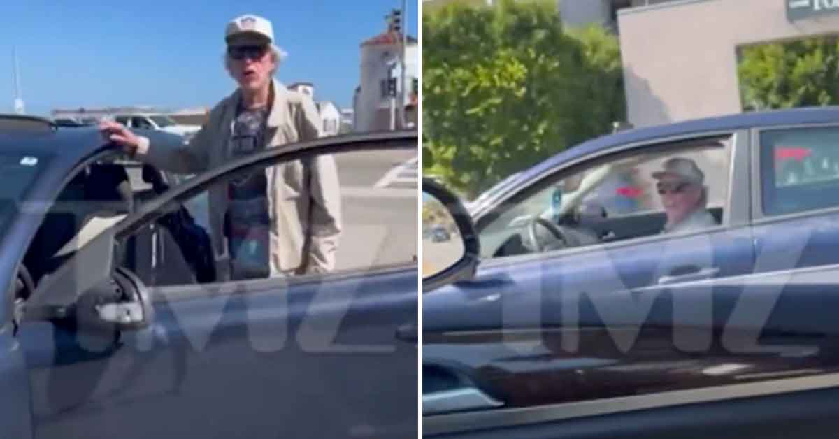 Gary Busey Leads Woman On Highway Car Chase after Hit and Run